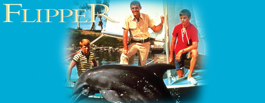 Flipper