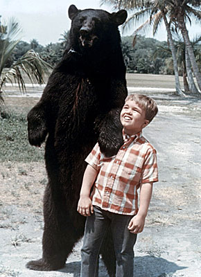 Gentle Ben